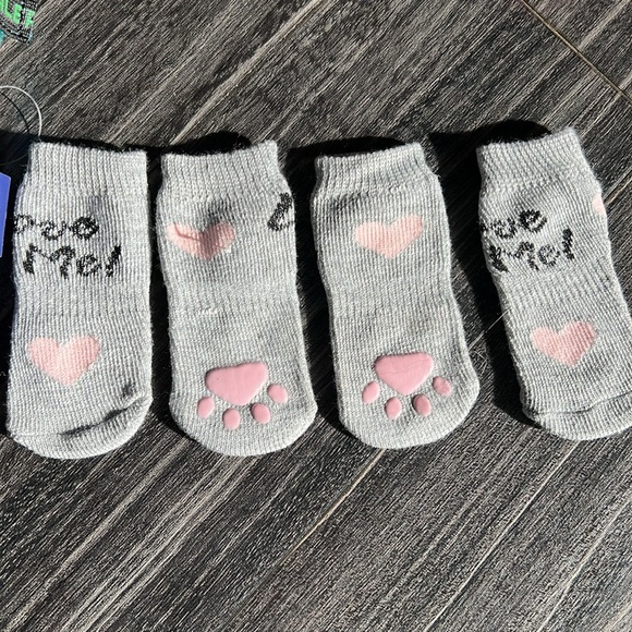 Bark Box - Picture 3 of 6